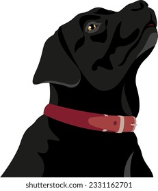 Vector illustration of the head of a black labrador retriever. Side view of the dog's muzzle. Dog is a human's friend