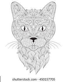 Vector illustration of head of cat on white background. Coloring page for adults.