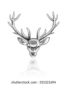 Vector illustration of head of deer with big horns.