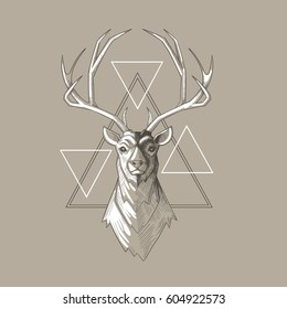 vector illustration. Head of a deer with horns graphics for T-shirts