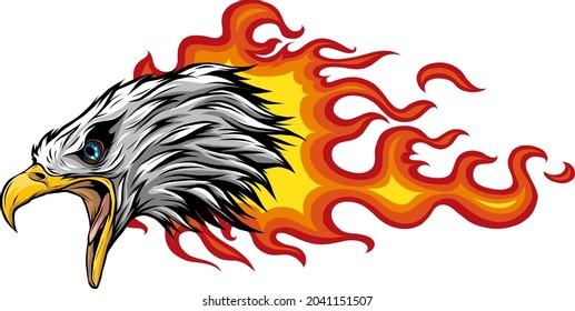 vector illustration of head Eagle with flames