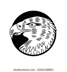 Vector illustration of the head of an eagle, framed in a circular shape, in black and white and outlined.