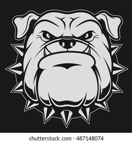 Vector illustration head ferocious bulldog mascot, on a black background