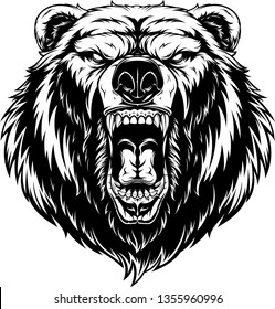 Vector illustration, head of a ferocious grizzly bear, contour on a white background