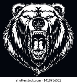 Vector illustration, head of a ferocious grizzly bear, on a black background