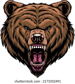 Vector illustration, the head of a ferocious grizzly bear, on a white background