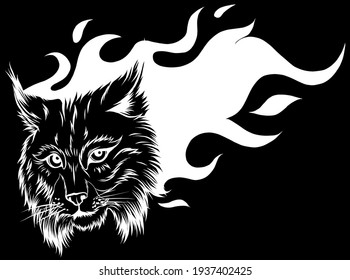 Vector illustration head ferocious lynx silhouette in black background