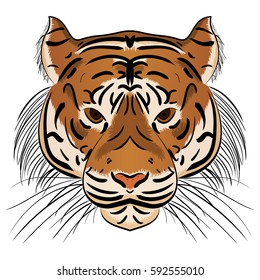 Vector illustration head ferocious tiger on a white background