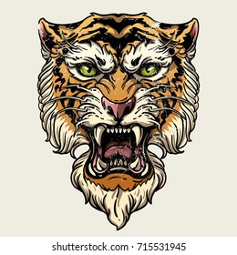 Vector illustration head ferocious tiger on a white background