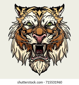 Vector illustration head ferocious tiger on a white background