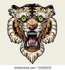Vector illustration head ferocious tiger on a white background
