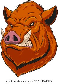 Vector illustration, the head of a ferocious wild boar, on a white background.
