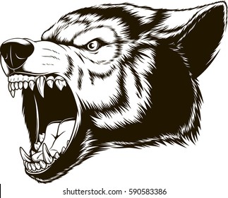 Vector illustration head ferocious wolf, outline silhouette on a white background
