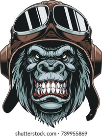 Vector illustration, the head of a gorilla wears a pilot's helmet, on a white background