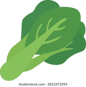 Vector illustration of a head of Kailan, also known as Chinese broccoli or gai lan. 