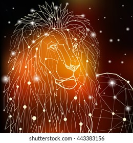 Vector illustration. The head of lion in outline low poly geometric style on the dark cosmic background with glowing light.