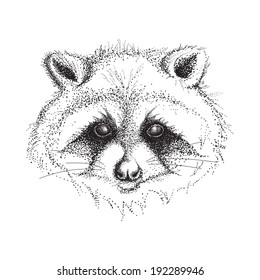 Vector illustration of a head of a raccoon in black and white graphic style (colored) - pointillism, isolated on white