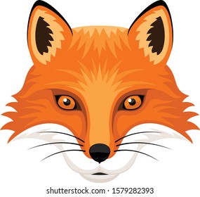 fox face vector