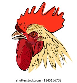 Vector illustration of head of rooster. Black line and color. Sketch.