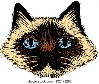 Vector illustration of the head of a Siamese cat