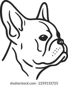 Vector illustration of the head of a small dog breed French Bulldog.