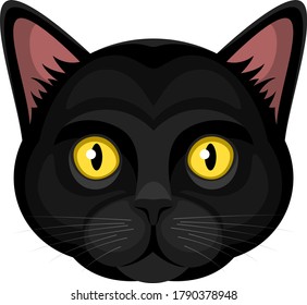 Chat Noir Yeux Jaunes Images Stock Photos Vectors Shutterstock