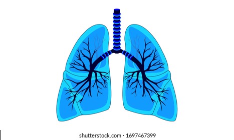 Vector Illustration Healthy Blue Lungs Icon Stock Vector (Royalty Free ...