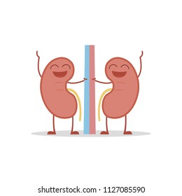 Vector illustration of a healthy and funny kidneys in cartoon style.