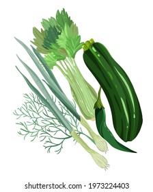 Vector illustration. Healthy green food. Onions, zucchini, celery, hot peppers, dill. Handmade, postcard, stickers