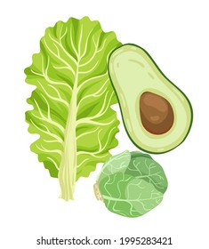 Vector illustration. Healthy green food. Lettuce, avocado, Brussels sprouts. Handmade, postcard, stickers