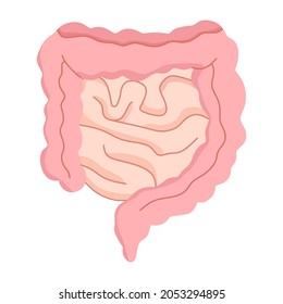 Vector illustration of Healthy gut, 
suitable for advertising health and education products