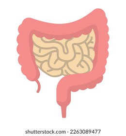 Vector illustration of Healthy gut, suitable for advertising health and education products