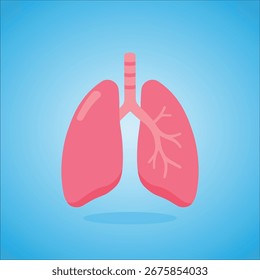 Vektorgrafik gesunder menschlicher Lungen. Perfekt für die Bereiche Gesundheit, Medizin und Wellness. Einzeln auf blauem Hintergrund.