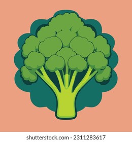 Vector illustration of healthy and juicy broccoli