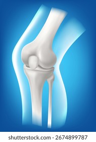 vector illustration of a healthy knee joint  The concept represents bone health