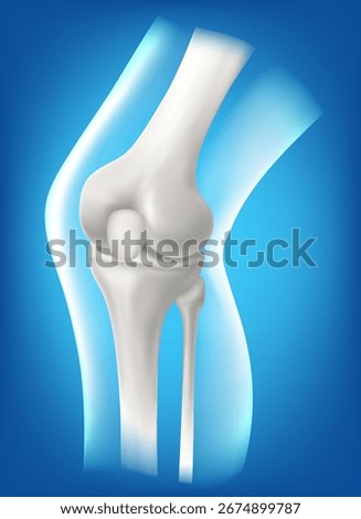 vector illustration of a healthy knee joint  The concept represents bone health