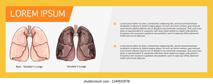 Vector illustration of a Healthy Lung and Smokers Lung