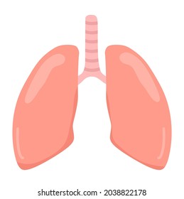 Vector illustration of healthy lungs, suitable for advertising health and education products