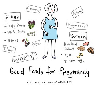 vector illustration - healthy pregnant woman with good food for her pregnancy.