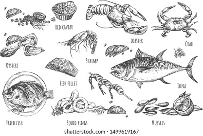 Vector illustration of healthy seafood natural set. Oysters, red caviar, shrimp, lobster, crab, fried fish, salmon fillet, squid rings, mussels, tuna, lemon wedges. Vintage hand drawn style.