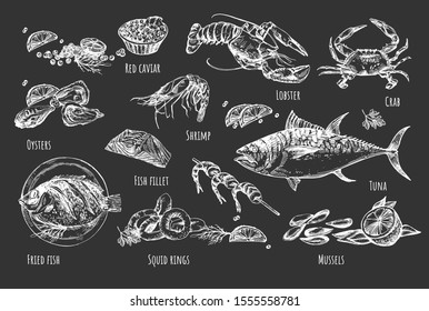 Vector illustration of healthy seafood natural set. Oysters, red caviar, shrimp, lobster, crab, fried fish, salmon fillet, squid rings, mussels, tuna, lemon wedges. Vintage hand drawn style on black