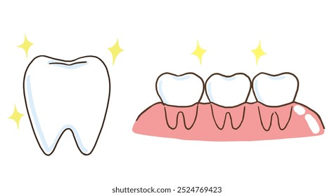 Vector illustration of healthy teeth and gums