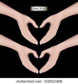 Vector illustration of a heart from the fingers of a hand folded symbol of love two options in a 3D image