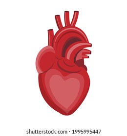 vector illustration of a heart on a white background