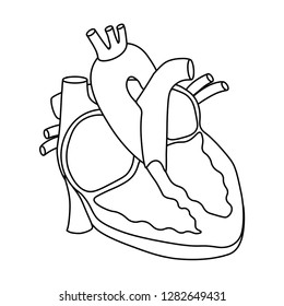 4 Stucture Human Heart Images, Stock Photos & Vectors 