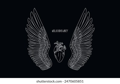 Vector illustration. Heart and wings. Human heart. Graphic arts. Ink drawing. Alchemy logo. Eagle wings. Line drawing. Outline illustration