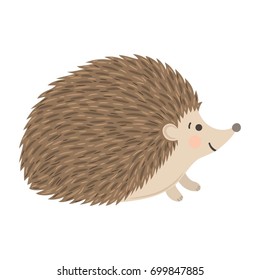 Vector illustration with hedgehog