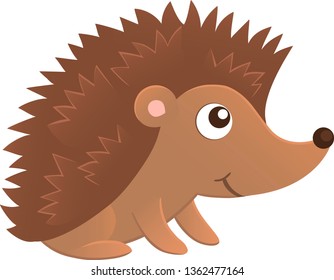 Vector illustration of a hedgehog isolated on a white beckgraund