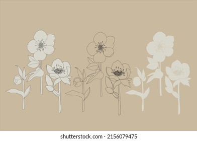 Vector illustration of hellebore. Doodle style. Suitable for design, printing, decoration, textiles, paper and colorings