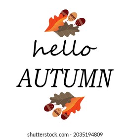 Vector illustration Hello, autumn . lettering decorated with autumn oak leaves and acorns. Beautiful graphic design for postcards, invitations, banners, posters. 